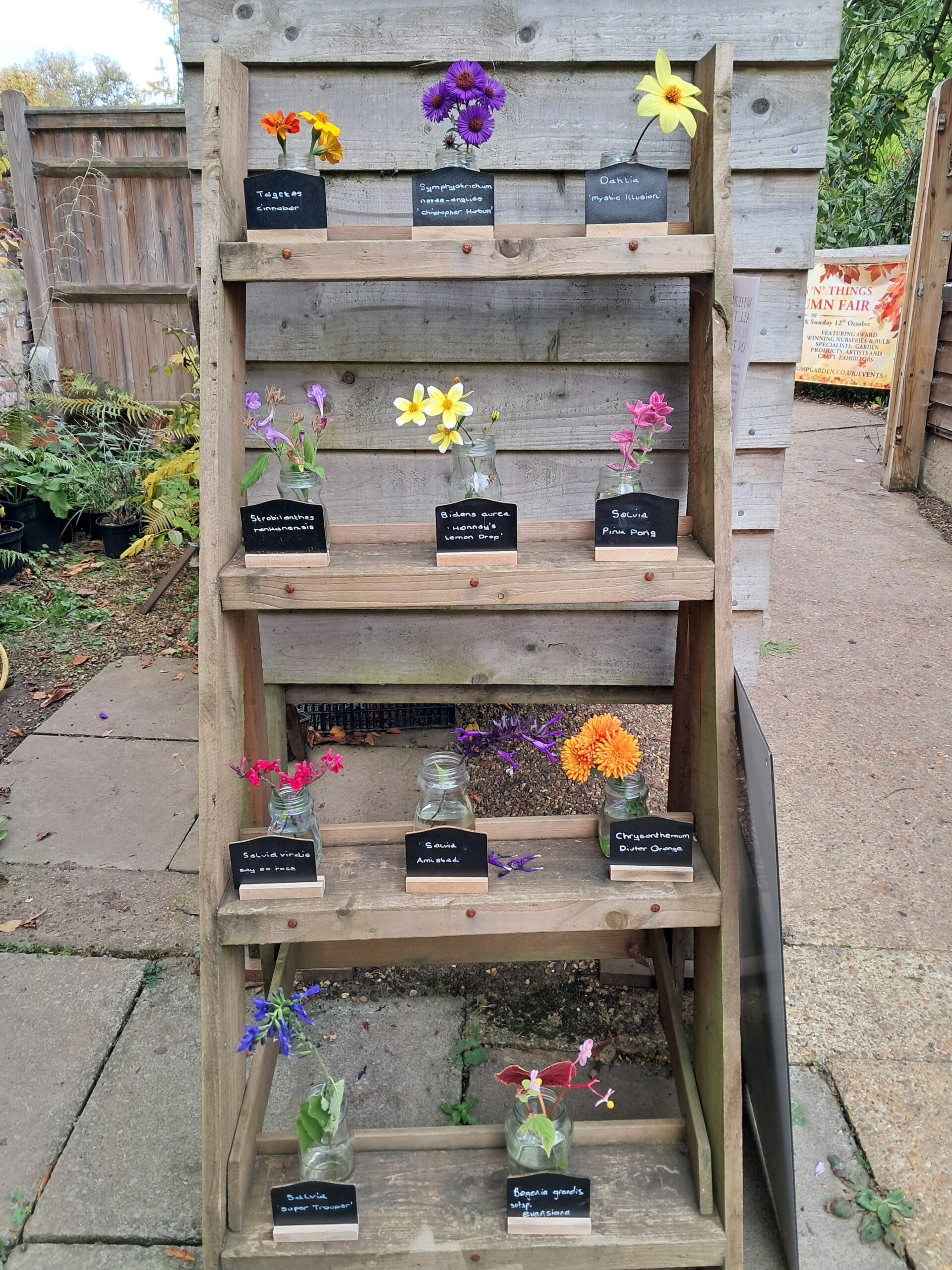 Great Comp Garden Visit 25/10/2025