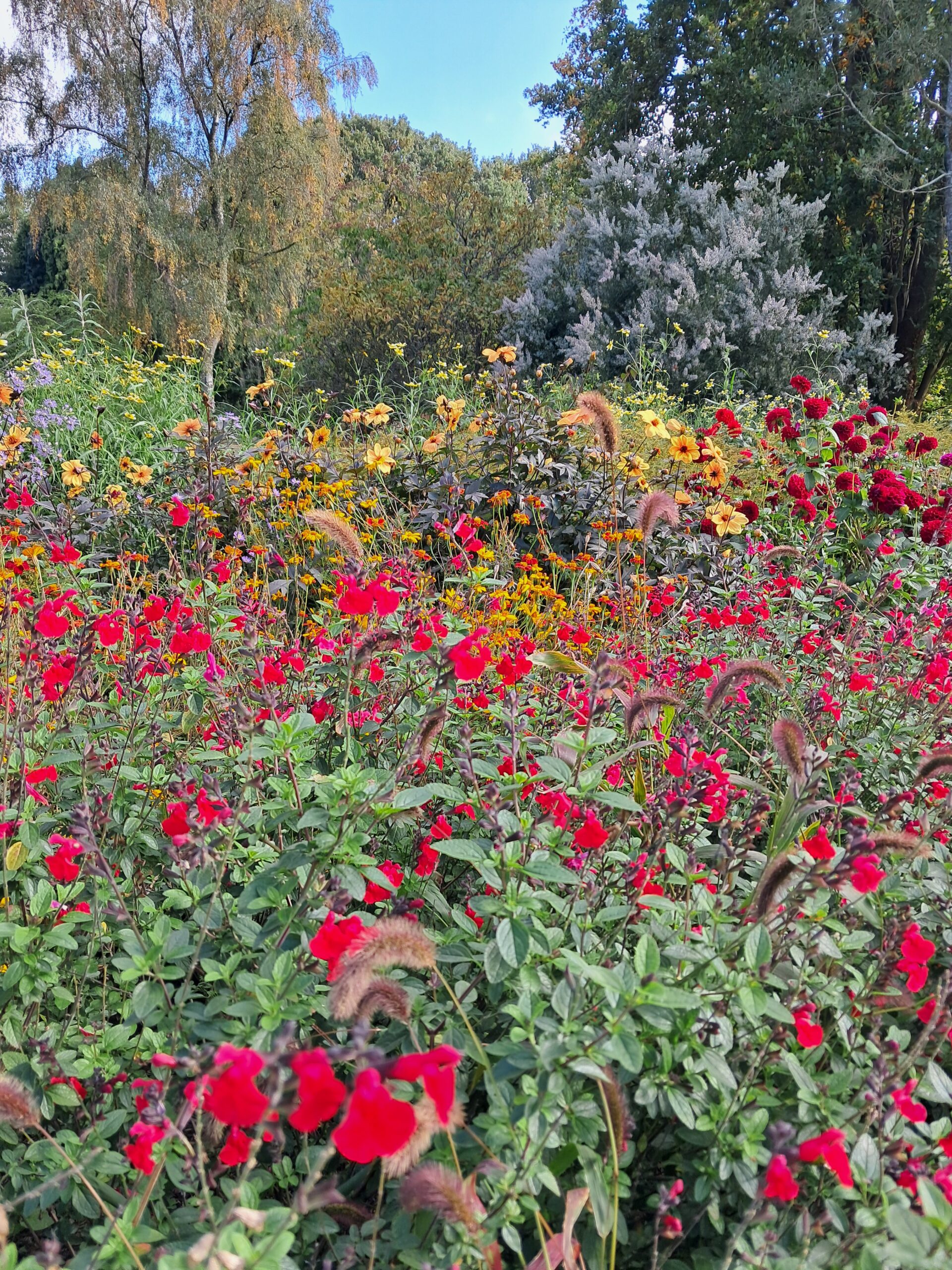 Great Comp Garden Visit 25/10/2025