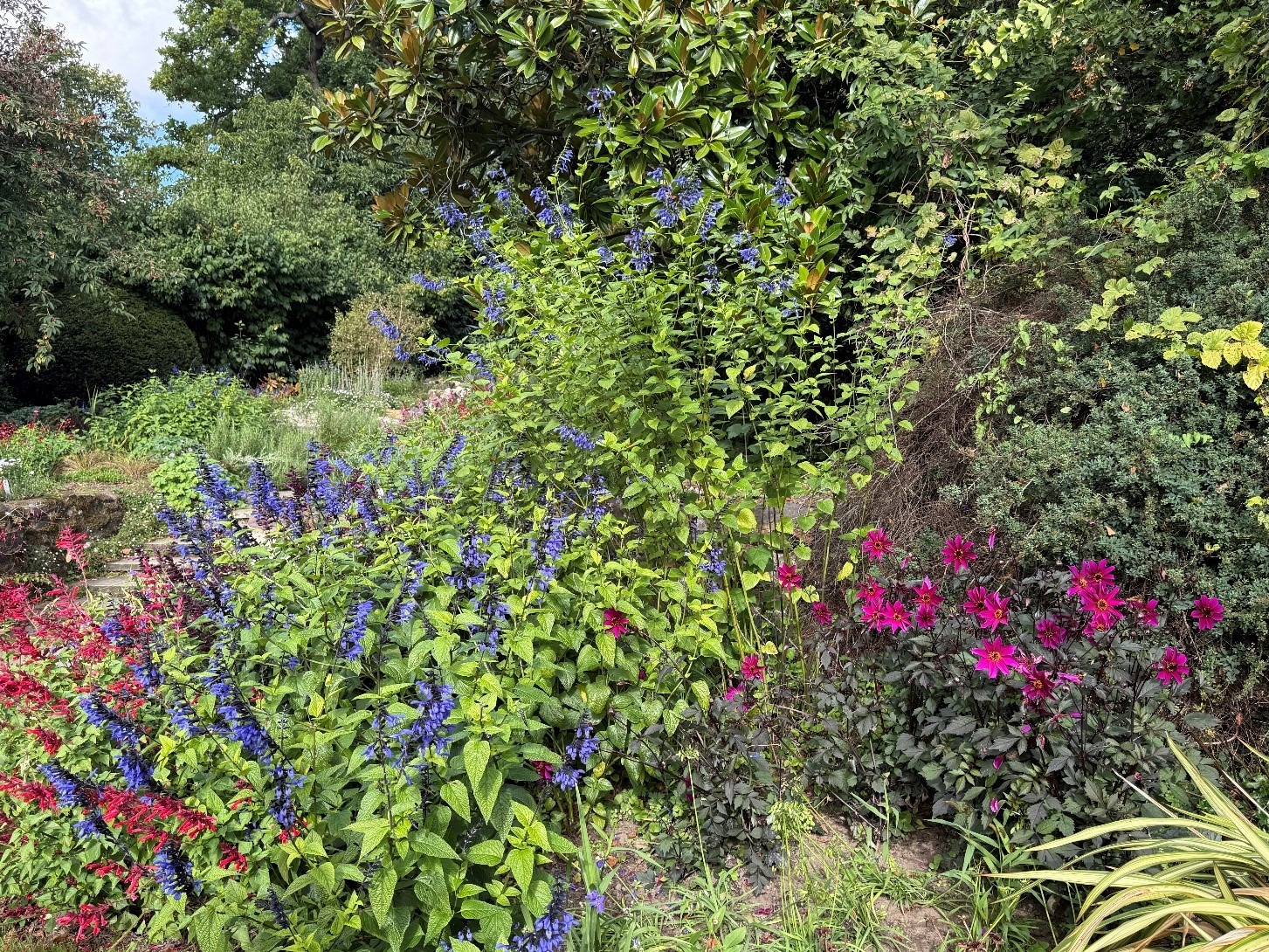 Great Comp Garden Visit 25/10/2025
